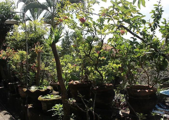 Séjour chez l'habitant Raditia Ubud